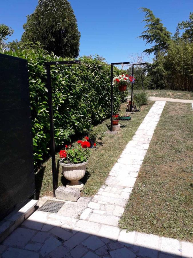 Apartment Nena- Apartman Sa Posebnim Ulazom U Prizemlju, Terasom I Zelenom Okucnicom Rakotule 外观 照片