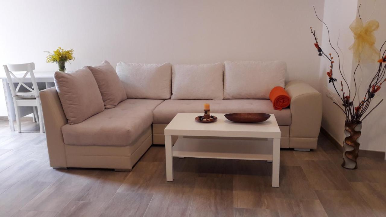 Apartment Nena- Apartman Sa Posebnim Ulazom U Prizemlju, Terasom I Zelenom Okucnicom Rakotule 外观 照片