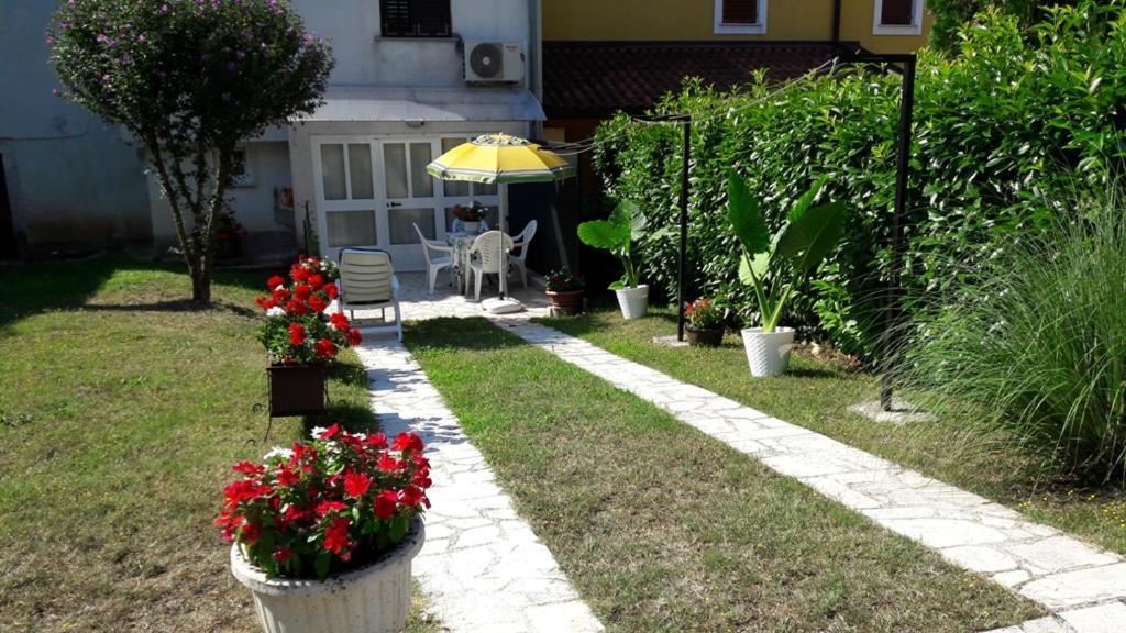 Apartment Nena- Apartman Sa Posebnim Ulazom U Prizemlju, Terasom I Zelenom Okucnicom Rakotule 外观 照片