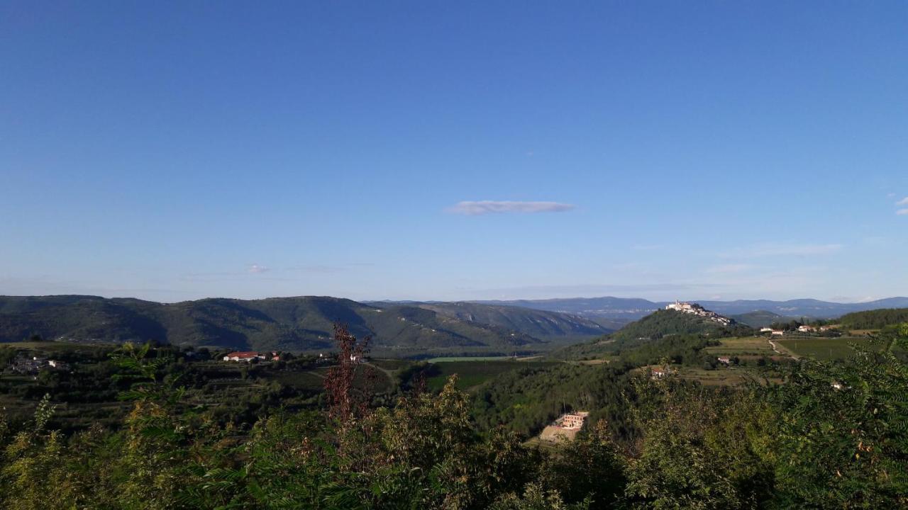 Apartment Nena- Apartman Sa Posebnim Ulazom U Prizemlju, Terasom I Zelenom Okucnicom Rakotule 外观 照片